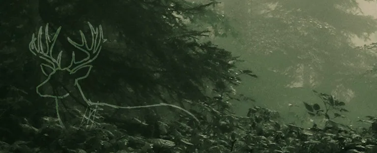 Dark forest with the outline of a deer